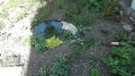 IMG_20180514_161302.jpg