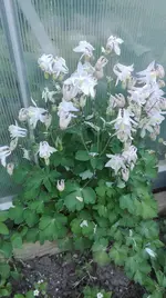 IMG_20180514_162953.webp