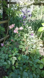 IMG_20180514_162423.webp