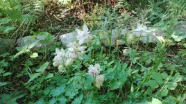 IMG_20180514_161831.webp
