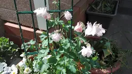 IMG_20180514_161447.webp