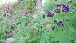 IMG_20180514_161424.webp