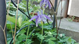IMG_20180514_161342.webp