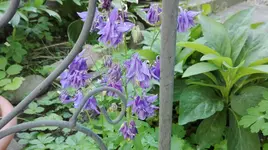 IMG_20180514_161335.webp