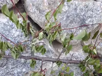 20180514_200812.webp