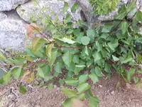20180514_200807.webp