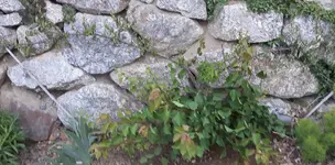 20180514_200803.webp