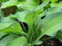 012_1024x768.webp