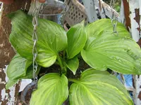 003_1024x768.webp