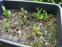 010_1024x768.JPG