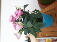 20180515_155046.webp