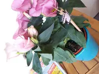 20180515_155103.jpg 20180515_155103.jpg