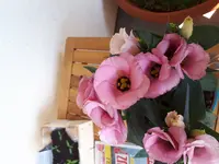 20180515_155055.jpg 20180515_155055.jpg