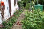 Garten Mai 4.jpg