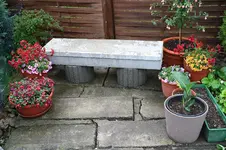 Garten Mai 2.jpg