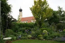 Mai3118.webp