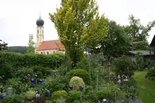 Mai3418.webp