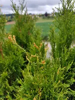 20180510_134756.webp