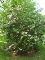 BILD9505.JPG