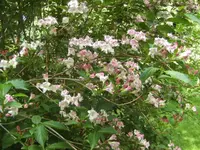 BILD9506.JPG