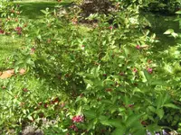 BILD9502.webp