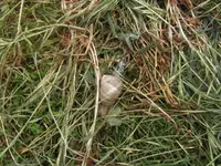 BILD9477.JPG