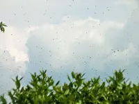 DSCF1061 (2).webp