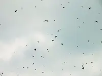 DSCF1057 (2).webp
