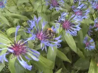 BILD9520.webp