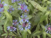 BILD9518.webp