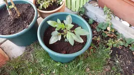20180408_192539.webp