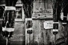 _MG_0108.webp