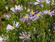 image001.webp