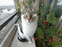c020.webp