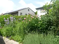 P1130275.webp