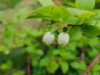 20180517_184546.webp