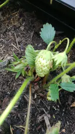 IMG-20180517-WA0089.webp