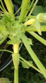 IMG-20180517-WA0097.jpg