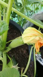 IMG-20180517-WA0095.webp