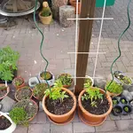 20180517_183849.webp