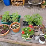 20180517_183839.webp