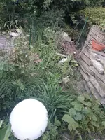 20180511_192300.jpg