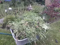 20180511_200831.jpg