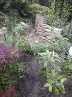 20180511_210754.jpg