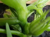 20180518_112407.jpg