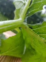 20180518_112349.webp