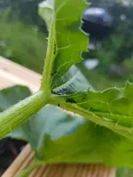20180518_112555.webp