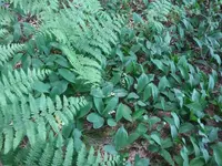 20180515_121516.webp