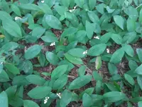 20180515_121545.webp