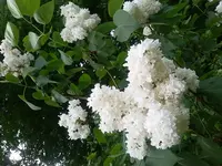 20180515_121951.jpg